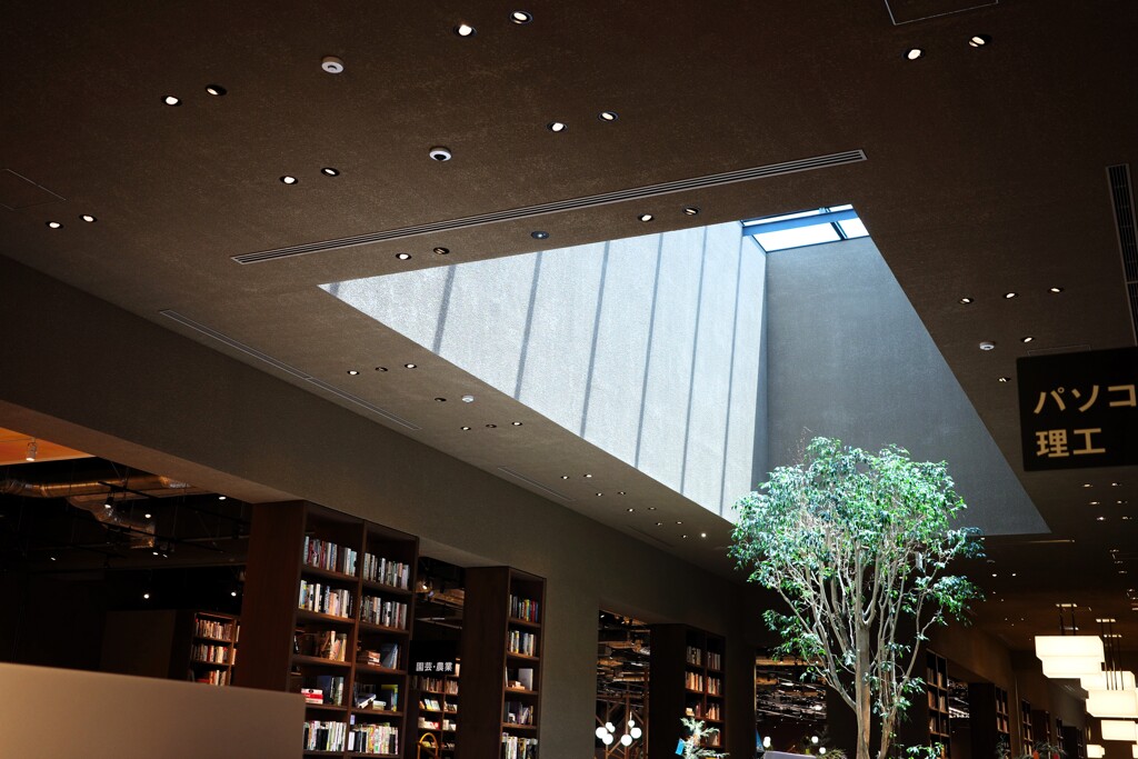 Light and shadow-795