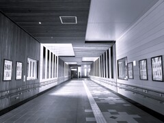Light and shadow-822
