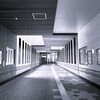 Light and shadow-822