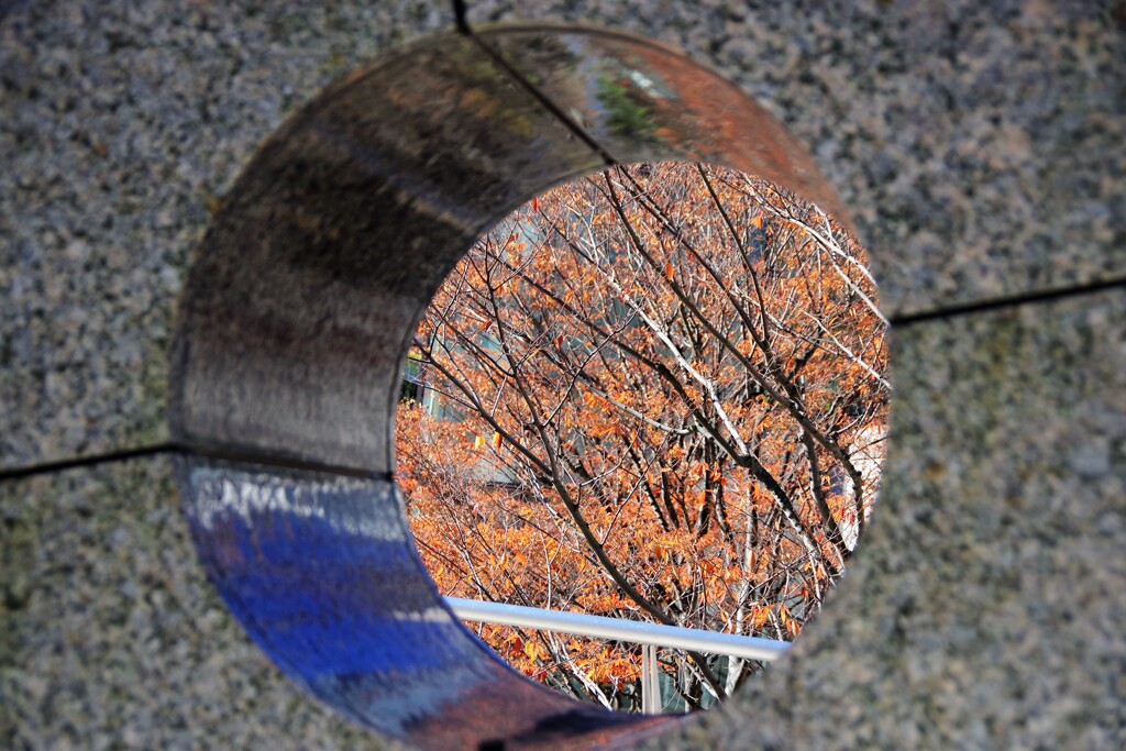 Autumn leaves in the hole