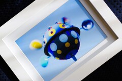 フォトフレームに入れてみた-14