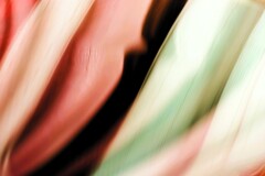 overlap effect-408