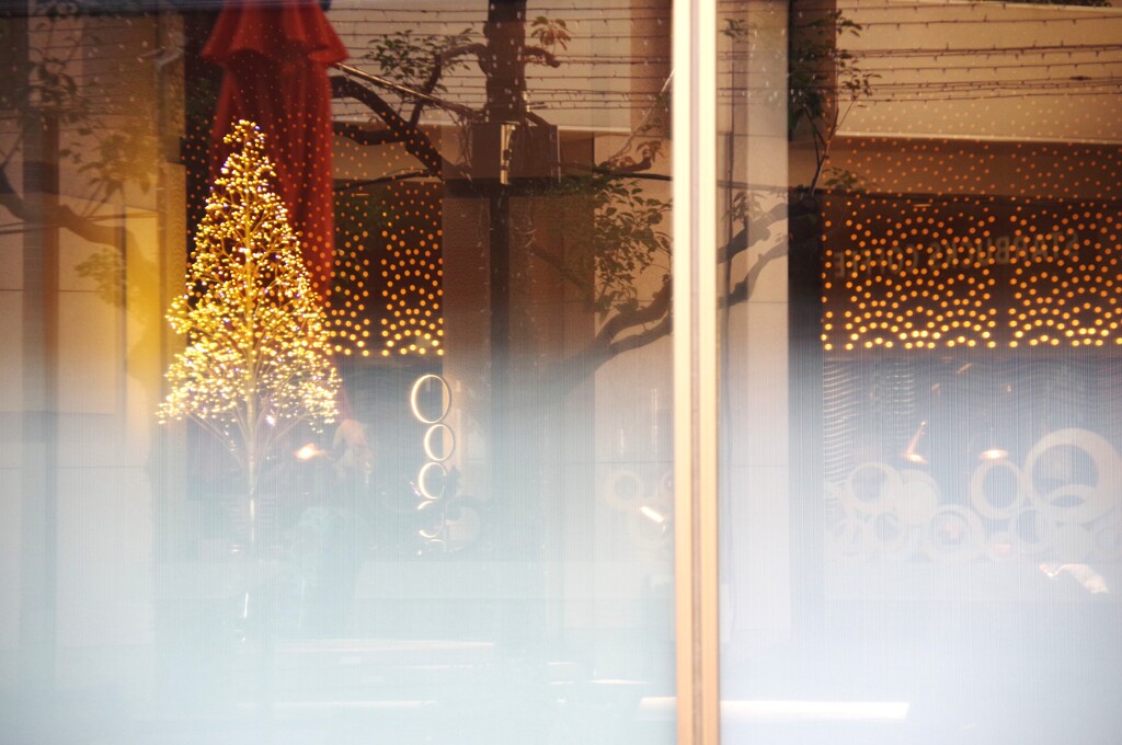 Reflection-502