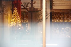 Reflection-502