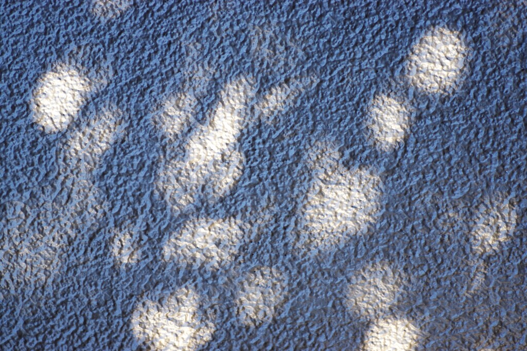 Light and shadow-764