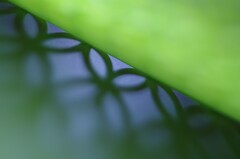 light and shadow-297