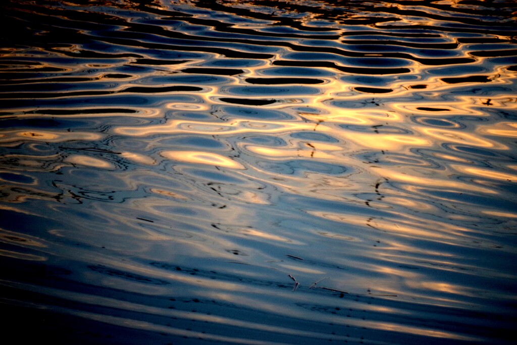 川面の揺らぎ