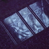 Reflection-298