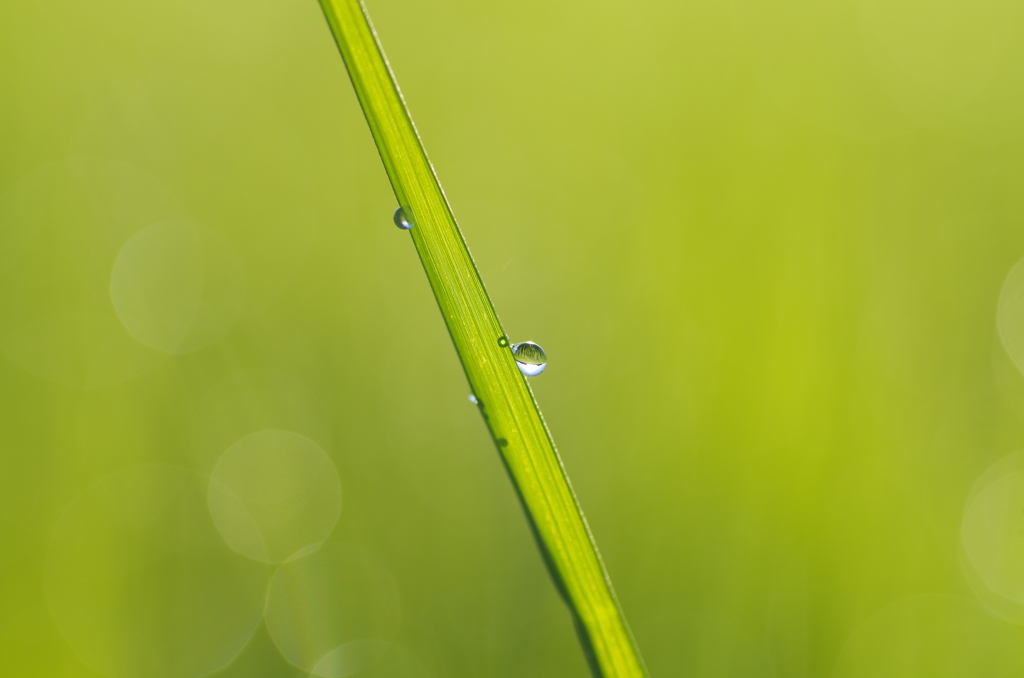 落っこっちゃう　