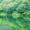 新緑のせかい