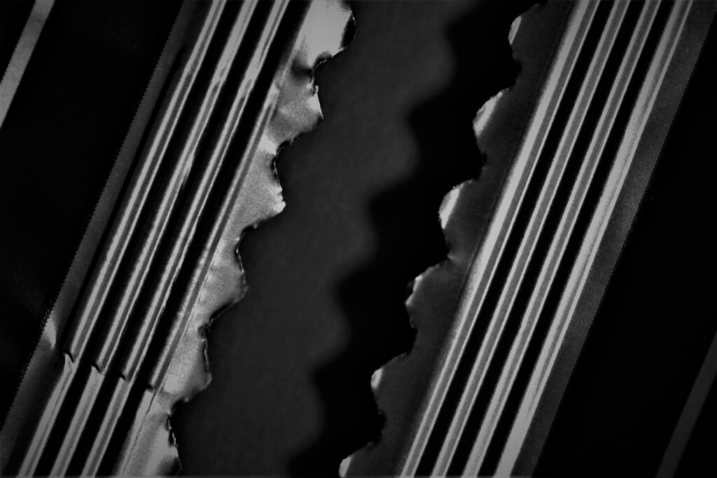 Light and shadow-481