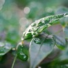 すいてきのせかい-151