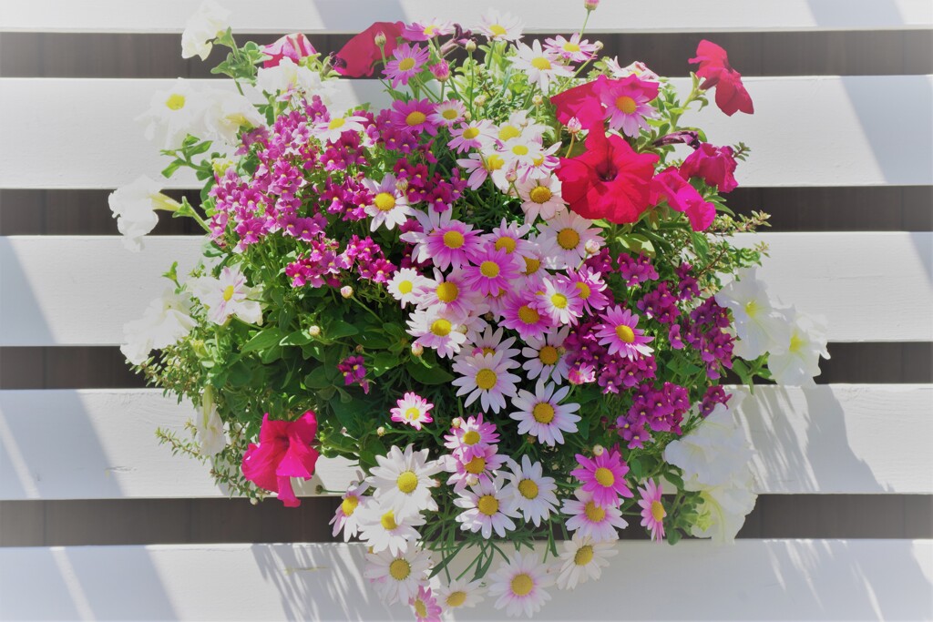 flower arrangement