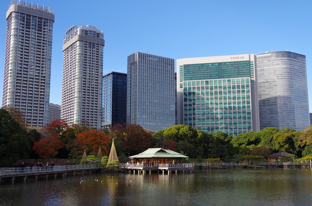 都内庭園　秋-9　