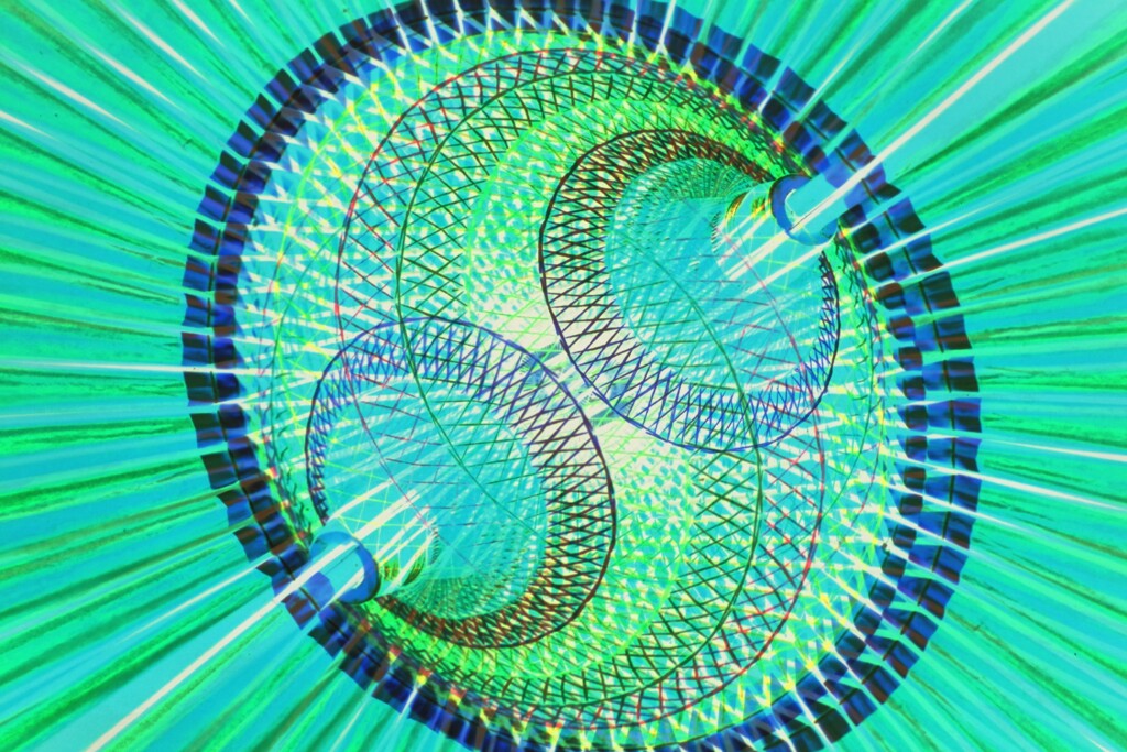 和-6 reverse