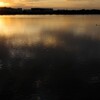 Reflection-435