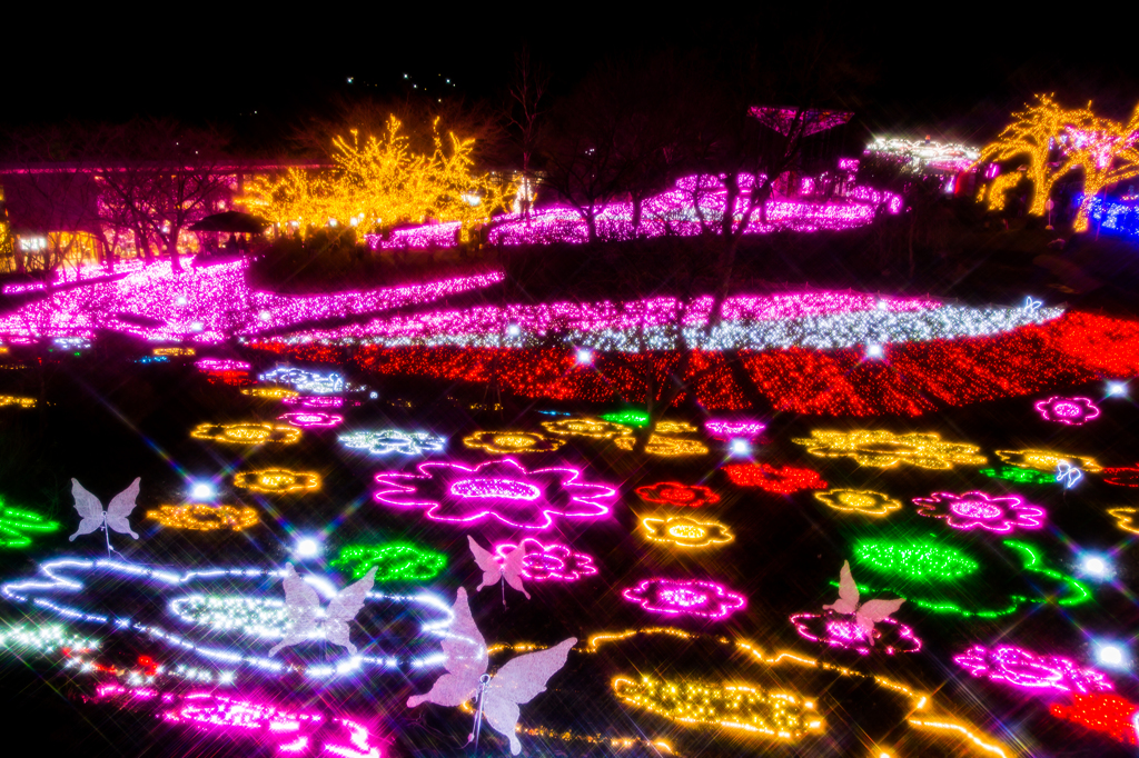 秘密の花園
