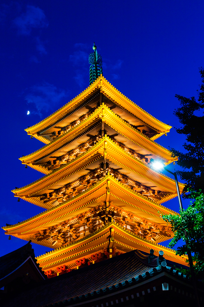 夏の夜