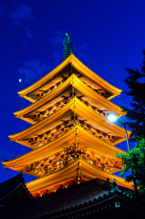 夏の夜