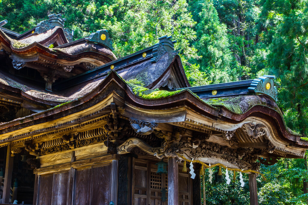 日本一複雑な屋根を持つ神社