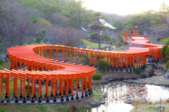 高山稲荷神社　千本鳥居