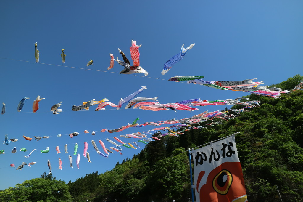 神流（かんな）町　鯉のぼり祭り　２