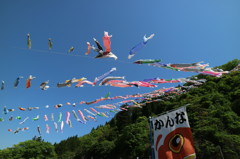 神流（かんな）町　鯉のぼり祭り　２