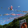 神流（かんな）町　鯉のぼり祭り　２