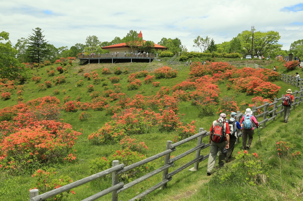 赤城山　つつじまつり　