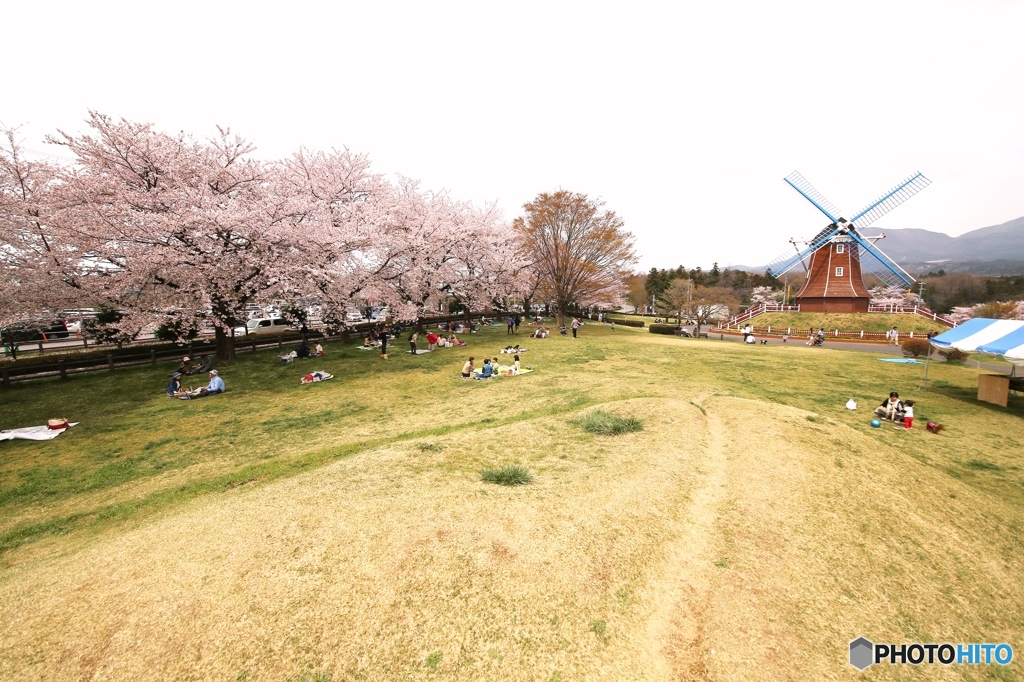 前橋市　大胡町　グリーンフラワー牧場　１