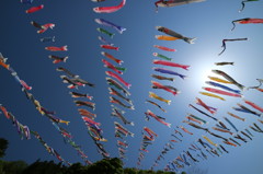 神流（かんな）町　鯉のぼり祭り　４