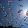 神流（かんな）町　鯉のぼり祭り　４