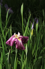 おまえ背高いな！