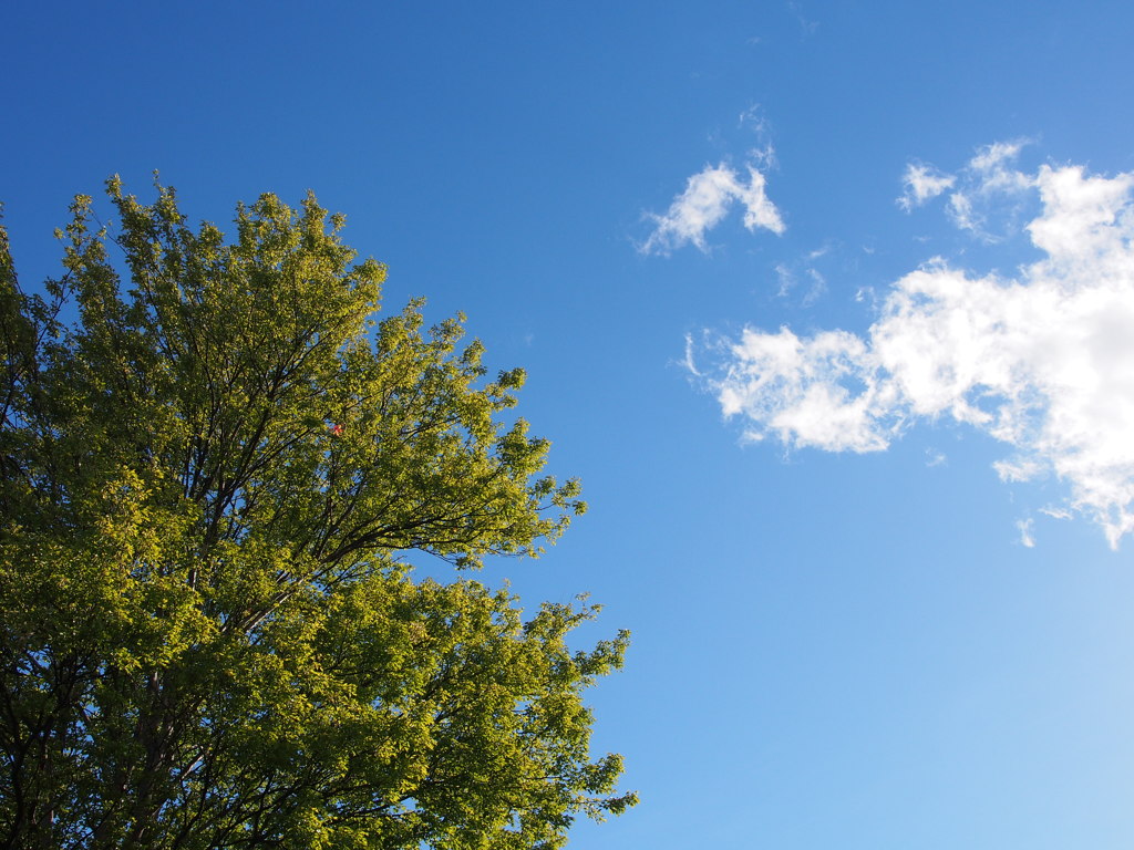 台風一過　の　青空