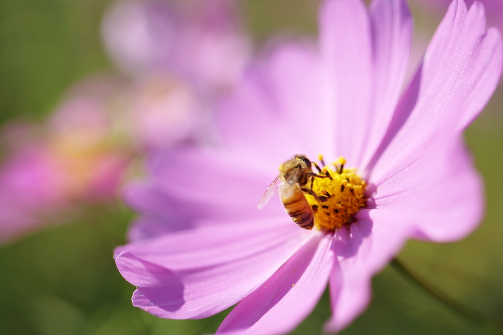 お仕事中　失礼します！！
