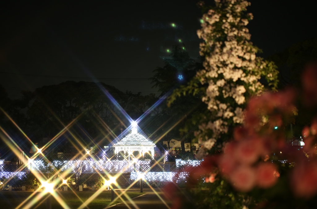 ｷﾗｷﾗばら園