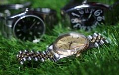 ほかの仲間が　お出迎え・・・・