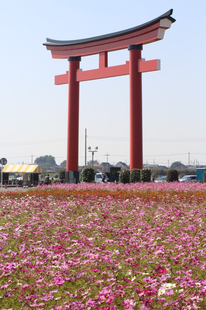 お決まり　ショット！