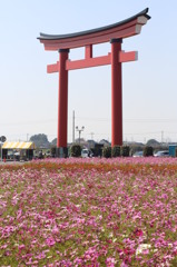 お決まり　ショット！