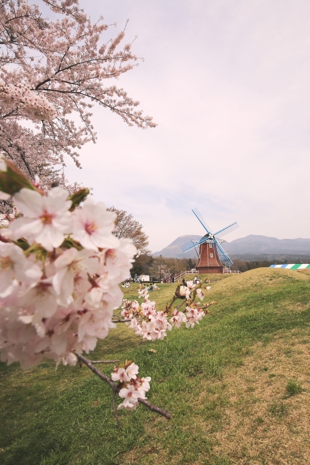 前橋市　大胡町　グリーンフラワー牧場 2