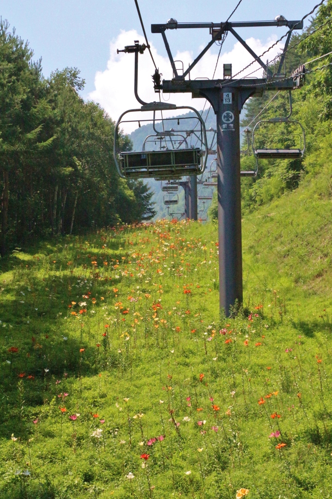 尾瀬岩鞍ゆり園　空中散歩