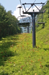 尾瀬岩鞍ゆり園　空中散歩