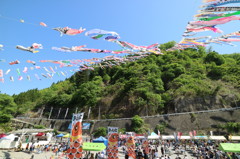 神流（かんな）町　鯉のぼり祭り　３