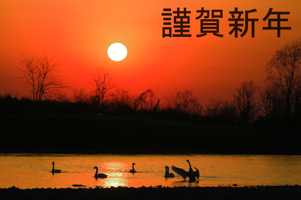 新年明けましておめでとうございます