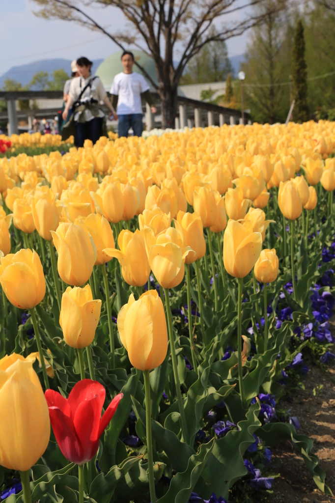 春の　かくれんぼ