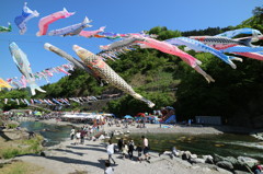 神流（かんな）町　鯉のぼり祭り　１