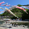 神流（かんな）町　鯉のぼり祭り　１