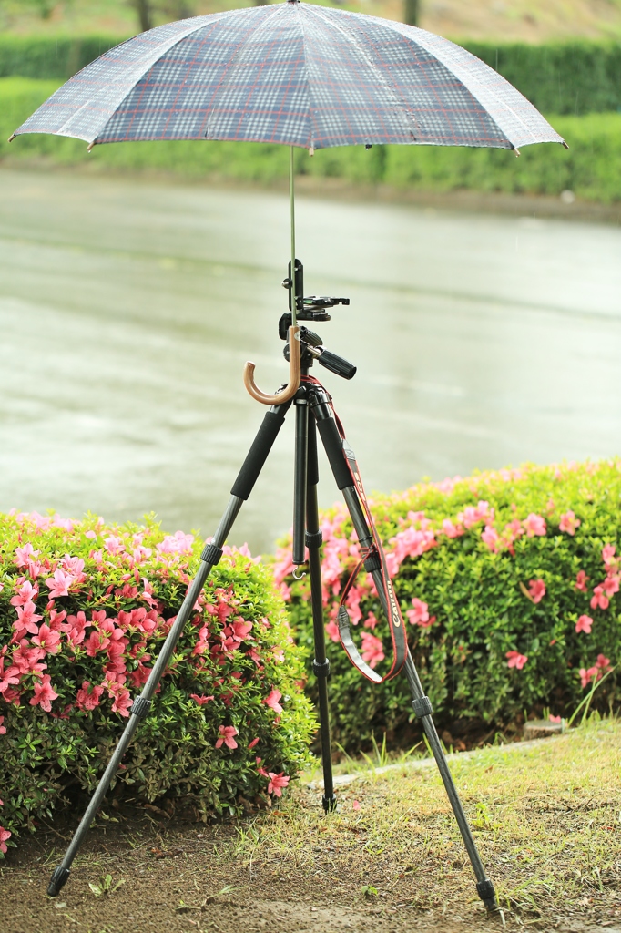 見ればわかる　便利グッズ