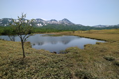 知床五湖　の　一湖　２