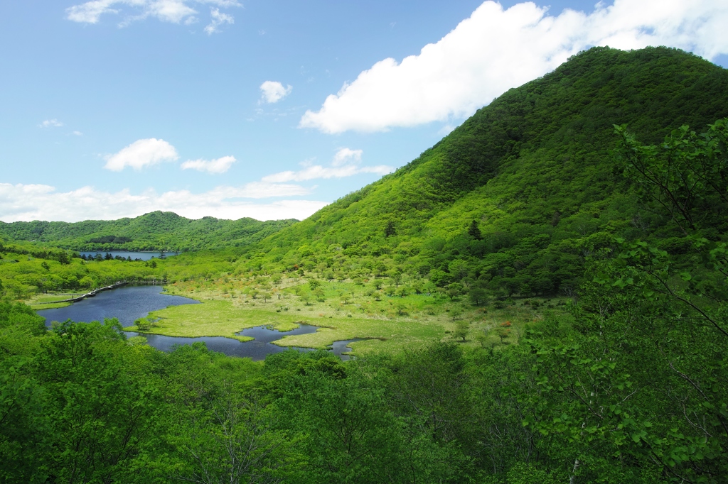 覚満淵に　スポットライト